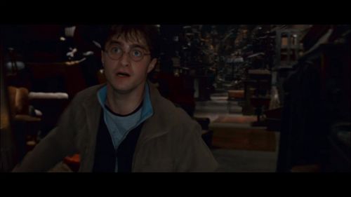 PotterishHP72ABCFamily1-118~2.jpg