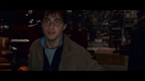 PotterishHP72ABCFamily1-119~2.jpg