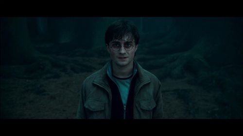 PotterishHP72ABCFamily1-12~2.jpg