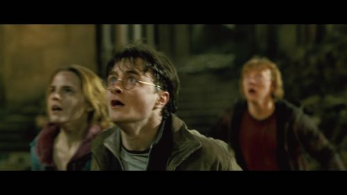 PotterishHP72ABCFamily1-130~2.jpg