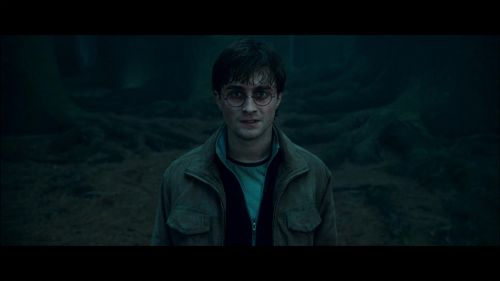 PotterishHP72ABCFamily1-13~2.jpg