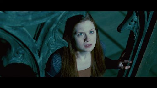 PotterishHP72ABCFamily1-141~2.jpg
