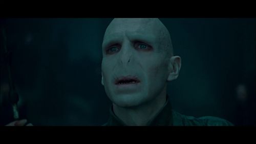PotterishHP72ABCFamily1-14~2.jpg
