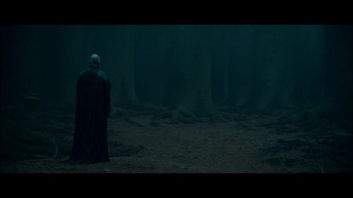 PotterishHP72ABCFamily1-156~2.jpg