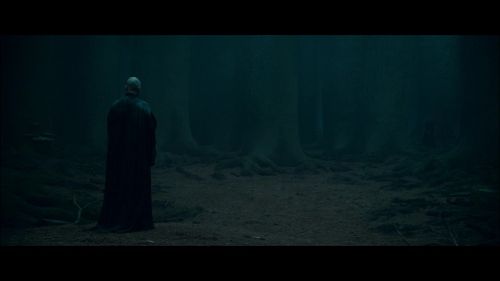 Click to view full size image
==============
PotterishHP72ABCFamily1-157~2.jpg PotterishHP72ABCFamily1-157~2.jpg