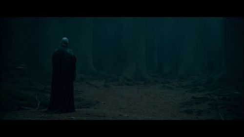 PotterishHP72ABCFamily1-158~2.jpg