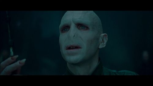 PotterishHP72ABCFamily1-15~2.jpg