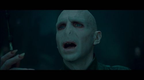 PotterishHP72ABCFamily1-16~2.jpg