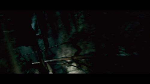 PotterishHP72ABCFamily1-194~2.jpg