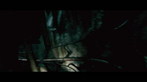 PotterishHP72ABCFamily1-195~2.jpg