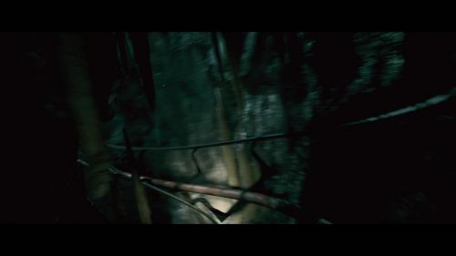 PotterishHP72ABCFamily1-196~2.jpg