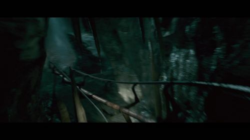 PotterishHP72ABCFamily1-197~2.jpg