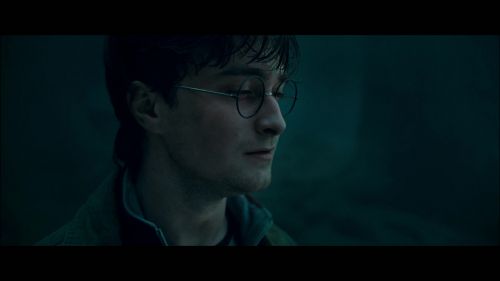 PotterishHP72ABCFamily1-19~2.jpg