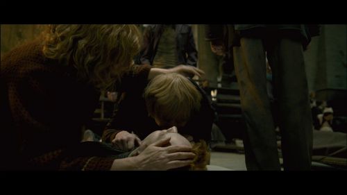 PotterishHP72ABCFamily1-203~2.jpg