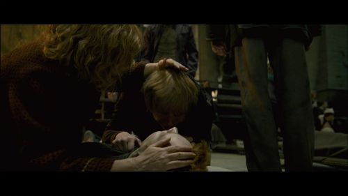 PotterishHP72ABCFamily1-204~2.jpg