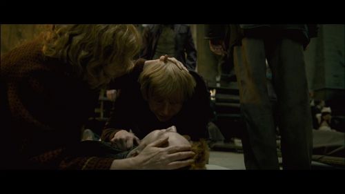 PotterishHP72ABCFamily1-206~2.jpg