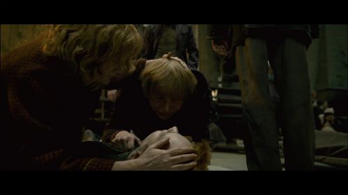 PotterishHP72ABCFamily1-207~2.jpg