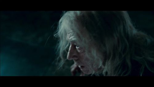 PotterishHP72ABCFamily1-208~2.jpg