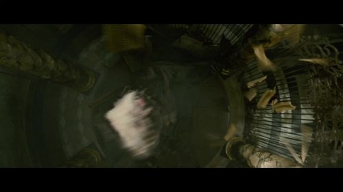 PotterishHP72ABCFamily1-219~2.jpg