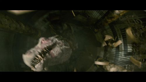 PotterishHP72ABCFamily1-220~2.jpg