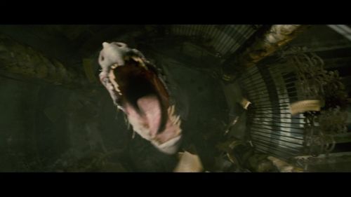 Click to view full size image
==============
PotterishHP72ABCFamily1-224~2.jpg PotterishHP72ABCFamily1-224~2.jpg