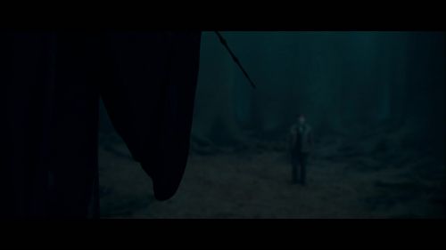 Click to view full size image
==============
PotterishHP72ABCFamily1-22~2.jpg PotterishHP72ABCFamily1-22~2.jpg