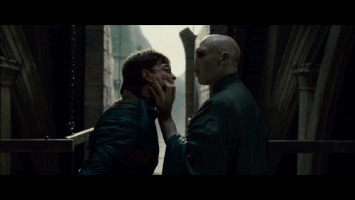 PotterishHP72ABCFamily1-230~2.jpg