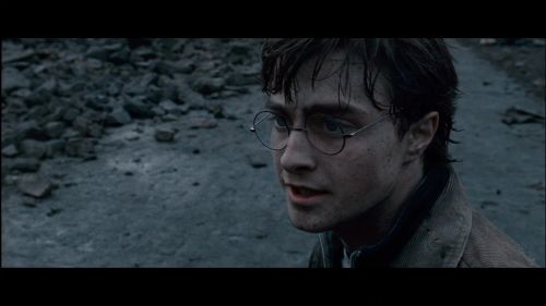 PotterishHP72ABCFamily1-236~2.jpg