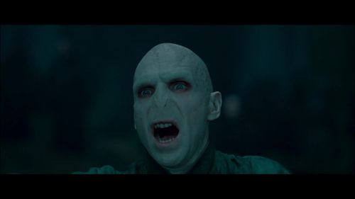 PotterishHP72ABCFamily1-23~2.jpg