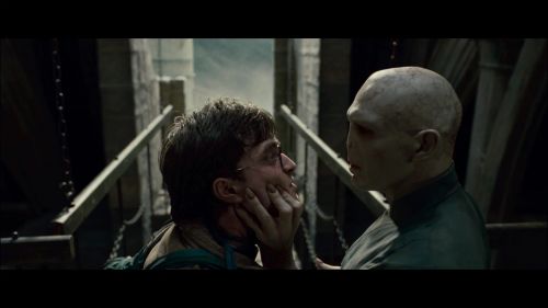 PotterishHP72ABCFamily1-243~2.jpg