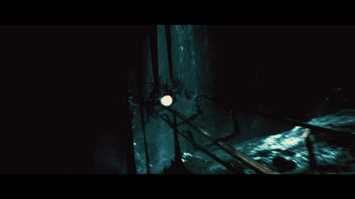 PotterishHP72ABCFamily1-251~2.jpg
