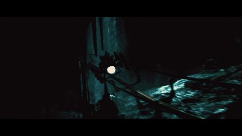 PotterishHP72ABCFamily1-253~2.jpg