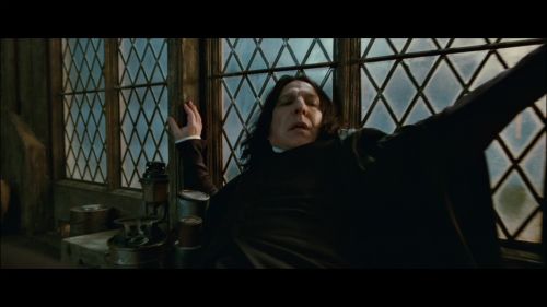PotterishHP72ABCFamily1-255~2.jpg