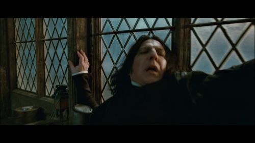 PotterishHP72ABCFamily1-257~2.jpg