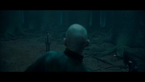 Click to view full size image
==============
PotterishHP72ABCFamily1-25~2.jpg PotterishHP72ABCFamily1-25~2.jpg