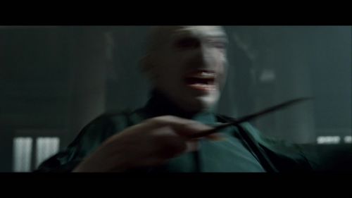 PotterishHP72ABCFamily1-264~2.jpg