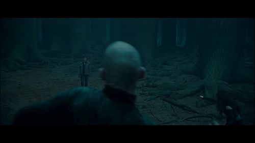 Click to view full size image
==============
PotterishHP72ABCFamily1-26~2.jpg PotterishHP72ABCFamily1-26~2.jpg