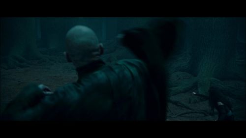 PotterishHP72ABCFamily1-28~2.jpg