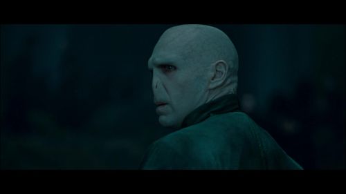 PotterishHP72ABCFamily1-2~2.jpg