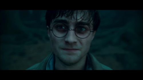 PotterishHP72ABCFamily1-32~2.jpg