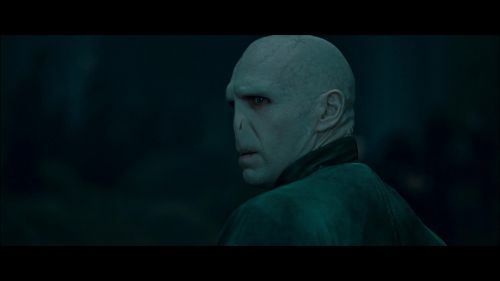 PotterishHP72ABCFamily1-3~2.jpg