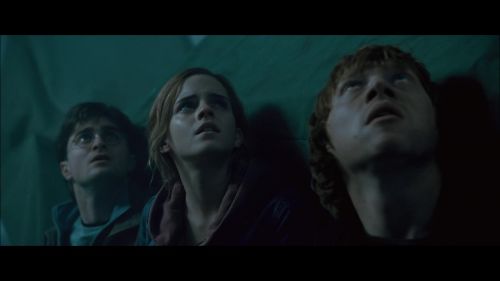 PotterishHP72ABCFamily1-41~2.jpg