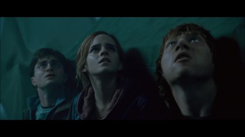 PotterishHP72ABCFamily1-42~2.jpg