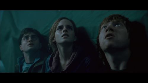 PotterishHP72ABCFamily1-43~2.jpg
