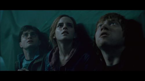 PotterishHP72ABCFamily1-44~2.jpg