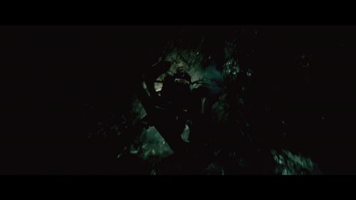 PotterishHP72ABCFamily1-45~2.jpg