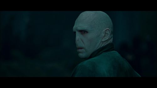 PotterishHP72ABCFamily1-4~2.jpg