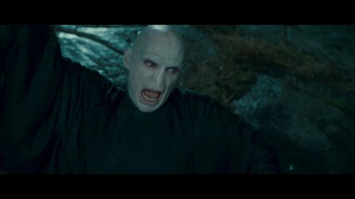 PotterishHP72ABCFamily1-57~2.jpg