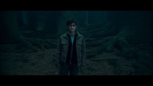 Click to view full size image
==============
PotterishHP72ABCFamily1-5~2.jpg PotterishHP72ABCFamily1-5~2.jpg