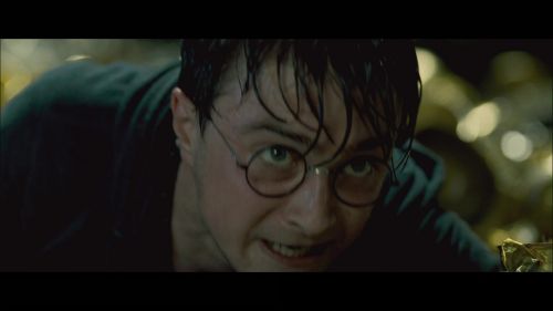 PotterishHP72ABCFamily1-66~2.jpg
